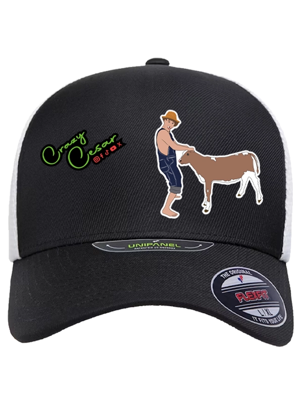 AMERICAN IDOL HAT